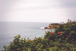 Beach House · Hua Hin - photo 1 of 3